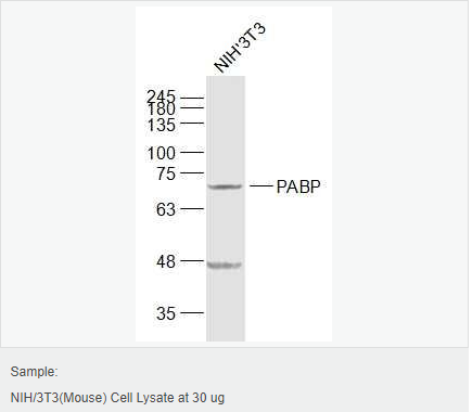 6052bcd06b6b9.png image.png