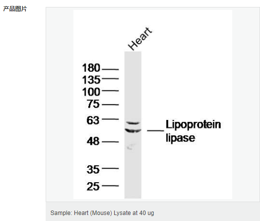 605433e49c034.png image.png