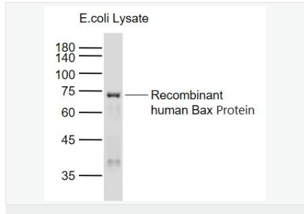 605c4830972b8.png image.png