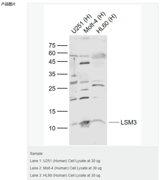 6066d4579fc1f.png image.png