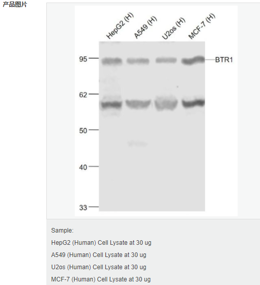 60795565a8322.png image.png