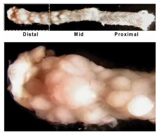 6960aebe88367.png image.png